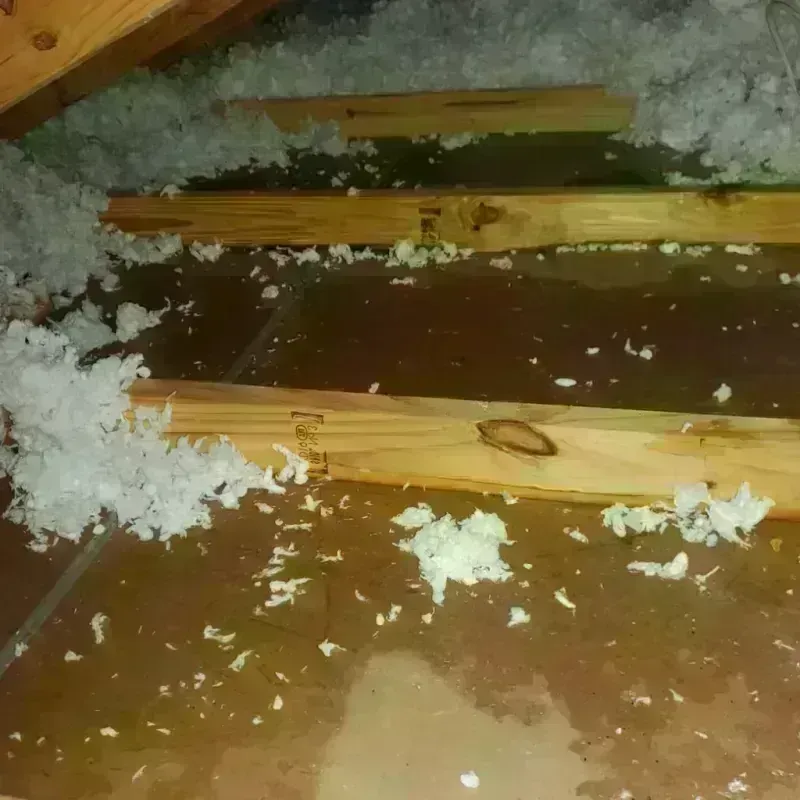 Attic Water Damage in Orchards, WA